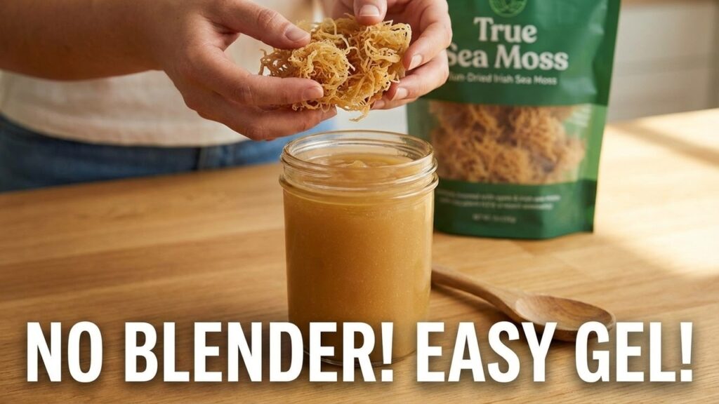 No Blender? No Problem! How to Prepare Raw Irish Sea Moss Gel with True Seamoss