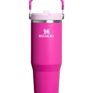 STANLEY IceFlow 2.0 Flip Straw Tumbler with Handle 30 oz | Twist On Lid and Flip Up Straw | Leak Resistant Water Bottle | Insulated Stainless Steel | BPA-Free | Violet Blossom