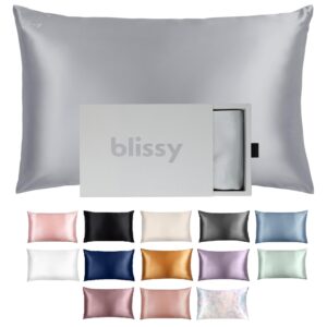 Blissy Silk Pillowcase - 100% Pure Mulberry Silk - 22 Momme 6A High-Grade Fibers - Silk Pillow Cover for Hair & Skin - Regular, Queen & King (Silver, Standard)