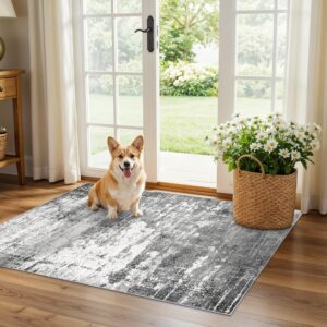 Washable 2x3 Entryway Area Rugs: Abstract Water Resistant Kitchen Rug Non-Slip Durable Doormat for High-Traffic Area Soft Bedroom Beside Carpet Indoor Low Pile Floor Mat for Families(2x3,Black/Grey)